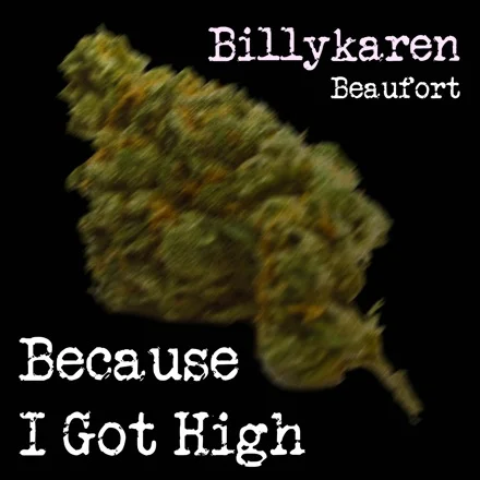 Because I Got High (Country Boy Version) cover art by Billykaren Beaufort