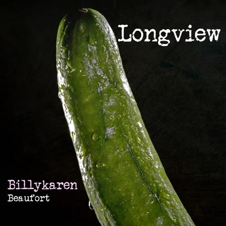 Longview (BK's Version) cover art by Billykaren Beaufort